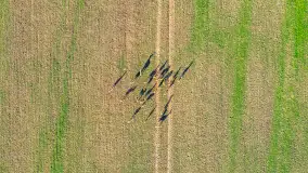 Wczesne przedwiośnie na Mazurach, luty 2023 r. - zdjęcie 52