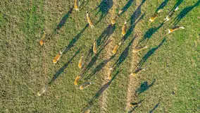 Wczesne przedwiośnie na Mazurach, luty 2023 r. - zdjęcie 11