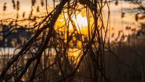 Zachód słońca nad jeziorem Siercze, luty 2023 - zdjęcie 5