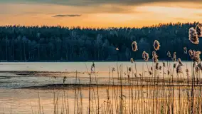 Zachód słońca nad jeziorem Siercze, luty 2023 - zdjęcie 6