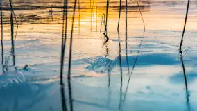 Zachód słońca nad jeziorem Siercze, luty 2023 - zdjęcie 18