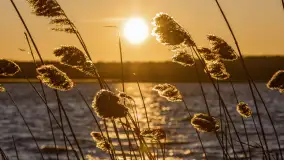 Zachód słońca nad jeziorem Kirsajty, luty 2023 r. - zdjęcie 21