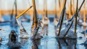 Słonecznie i zimowo przy moście Sztynorckim - zdjęcie 20