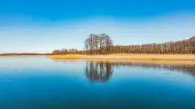 Słonecznie i zimowo przy moście Sztynorckim - zdjęcie 11