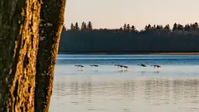 Zachód słońca nad jeziorem Mamry, luty 2023 r. - zdjęcie 47