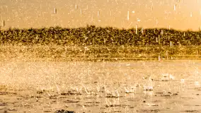 Zachód słońca nad jeziorem Mamry, luty 2023 r. - zdjęcie 43