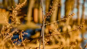 Zachód słońca nad jeziorem Mamry, luty 2023 r. - zdjęcie 52