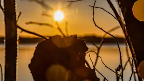 Zachód słońca nad jeziorem Mamry, luty 2023 r. - zdjęcie 53