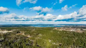 Komórki śniegowe widziane z góry, marzec 2023 r. - zdjęcie 9