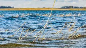 Przedwiośnie nad Niegocinem przy Kleszczewie Osada - zdjęcie 11