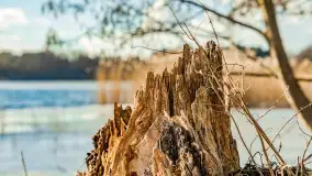 Grodzisko Św. Góra, jezioro Wojnowo, marzec 2023 r. - zdjęcie 17