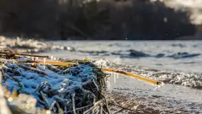 Jezioro Gołdopiwo na początku marca 2023 r. - zdjęcie 16