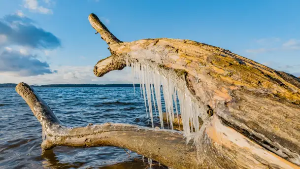 Jezioro Gołdopiwo na początku marca 2023 r.