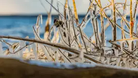 Jezioro Gołdopiwo na początku marca 2023 r. - zdjęcie 11