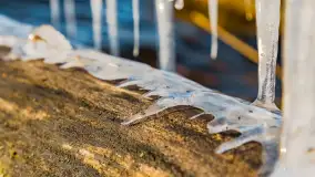 Jezioro Gołdopiwo na początku marca 2023 r. - zdjęcie 35