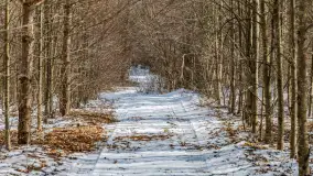 Wyspa Wydmińska i jezioro Wydmińskie, końcówka zimy 2023 r. - zdjęcie 44