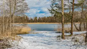 Wyspa Wydmińska i jezioro Wydmińskie, końcówka zimy 2023 r. - zdjęcie 27