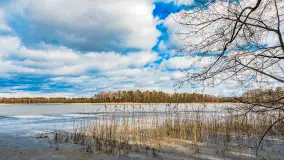 Wyspa Wydmińska i jezioro Wydmińskie, końcówka zimy 2023 r. - zdjęcie 15