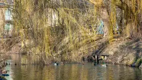 Poszukiwania wiosny w Węgorzewie, marzec 2023 r. - zdjęcie 51