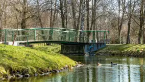 Poszukiwania wiosny w Węgorzewie, marzec 2023 r. - zdjęcie 8