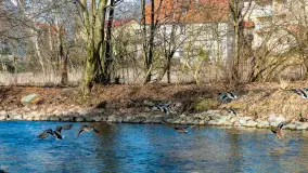 Poszukiwania wiosny w Węgorzewie, marzec 2023 r. - zdjęcie 37