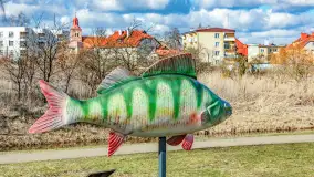 Poszukiwania wiosny w Węgorzewie, marzec 2023 r. - zdjęcie 21