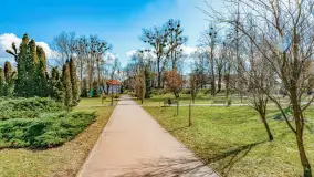 Poszukiwania wiosny w Węgorzewie, marzec 2023 r. - zdjęcie 47