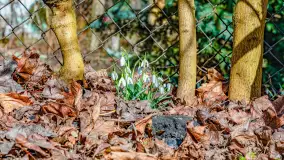 Poszukiwania wiosny w Węgorzewie, marzec 2023 r. - zdjęcie 39