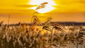 Zachód słońca nad jeziorem Mamry, plaża miejska w Węgorzewie - zdjęcie 30