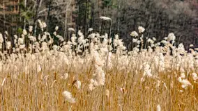 Weekend na dziko nad jeziorem Tyrkło. marzec 2023 r. - zdjęcie 7