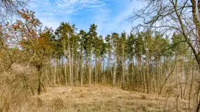 Weekend na dziko nad jeziorem Tyrkło. marzec 2023 r. - zdjęcie 12