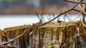 Weekend na dziko nad jeziorem Tyrkło. marzec 2023 r. - zdjęcie 36