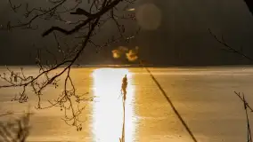 Wschód słońca nad jeziorem Tyrkło, marzec 2023 r. - zdjęcie 61