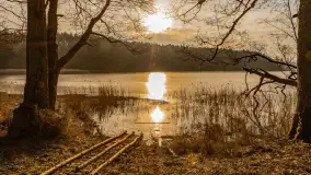 Wschód słońca nad jeziorem Tyrkło, marzec 2023 r. - zdjęcie 23
