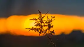 Zachód słońca, z innej perspektywy, marzec 2023 r. - zdjęcie 22