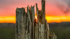 Zachód słońca, z innej perspektywy, marzec 2023 r. - zdjęcie 20