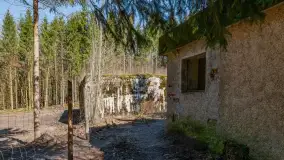 Wiosenny spacer po Mamerkach, marzec 2023 r. - zdjęcie 25