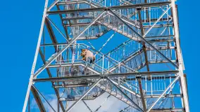 Wiosenny spacer po Mamerkach, marzec 2023 r. - zdjęcie 17