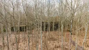 Wiosenny spacer po Mamerkach, marzec 2023 r. - zdjęcie 36