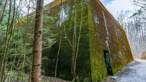 Wiosenny spacer po Mamerkach, marzec 2023 r. - zdjęcie 19