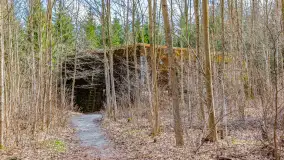 Wiosenny spacer po Mamerkach, marzec 2023 r. - zdjęcie 2