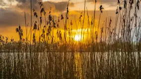 Zachód słońca nad jeziorem Martiany, marzec 2023 r. - zdjęcie 10