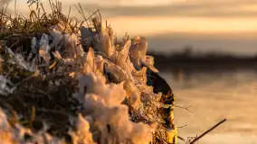Wiosenny zachód słońca nad jeziorem Dejguny - zdjęcie 45