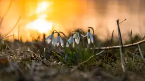 Wiosenny zachód słońca nad jeziorem Dejguny - zdjęcie 2