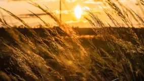 Zachód słońca nad rzeką Guber, kwiecień 2023 r. - zdjęcie 22