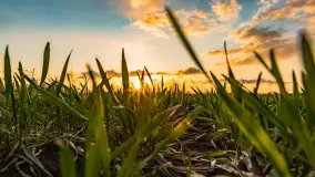 Zachód słońca nad rzeką Guber, kwiecień 2023 r. - zdjęcie 4