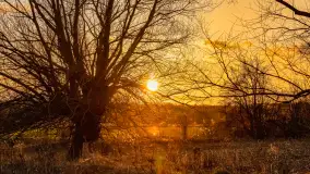 Zachód słońca nad rzeką Guber, kwiecień 2023 r. - zdjęcie 7