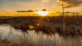 Zachód słońca nad rzeką Guber, kwiecień 2023 r. - zdjęcie 26