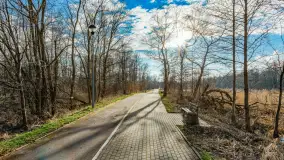 Węgorapa i kanał Węgorzewski pod koniec marca 2023 r. - zdjęcie 14