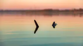 Wschód słońca nad jeziorem Dejguny, kwiecień 2023 r. - zdjęcie 40